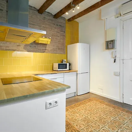 64 In A Typical Barcelona's Old Building Apartamento Barcelona