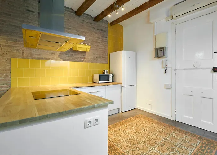 64 In A Typical Barcelona's Old Building 公寓 巴塞罗那